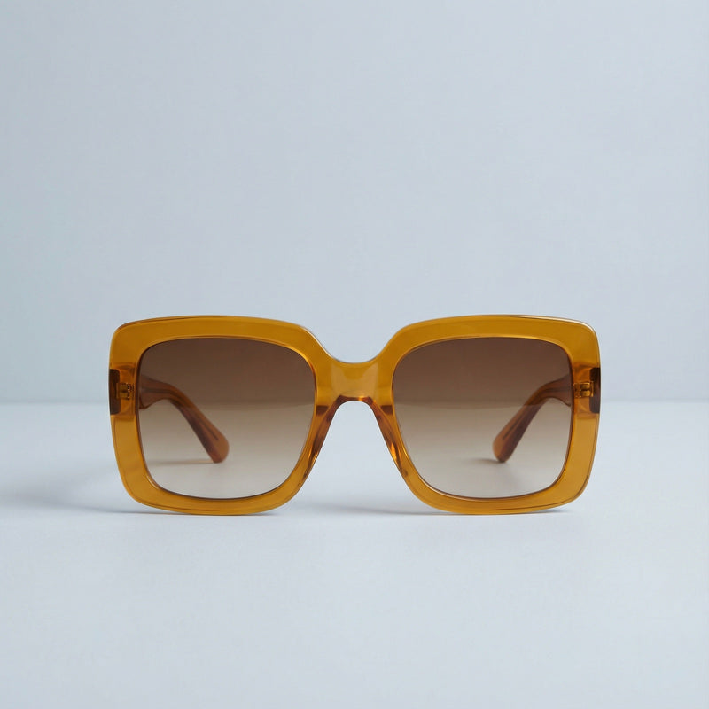 TINT Bernstein front view